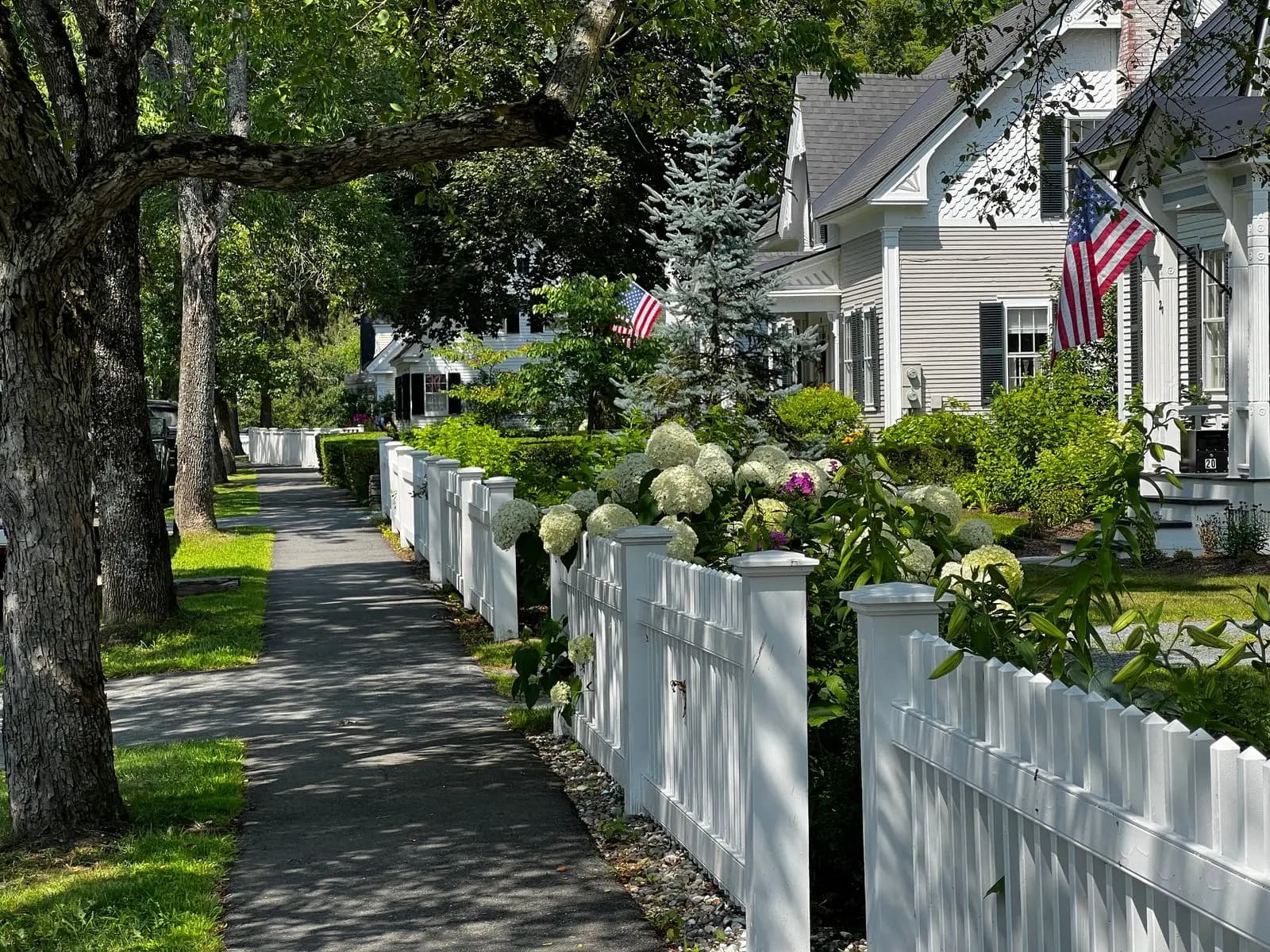 Sidewalk beside white picket fences and older houses in summer