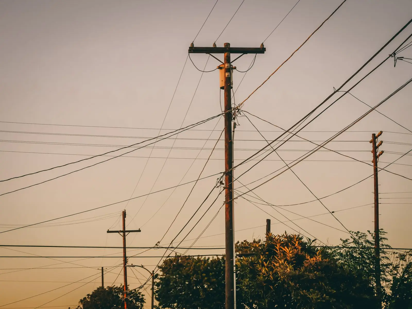 Wooden utility poles and crossing lines at dusk