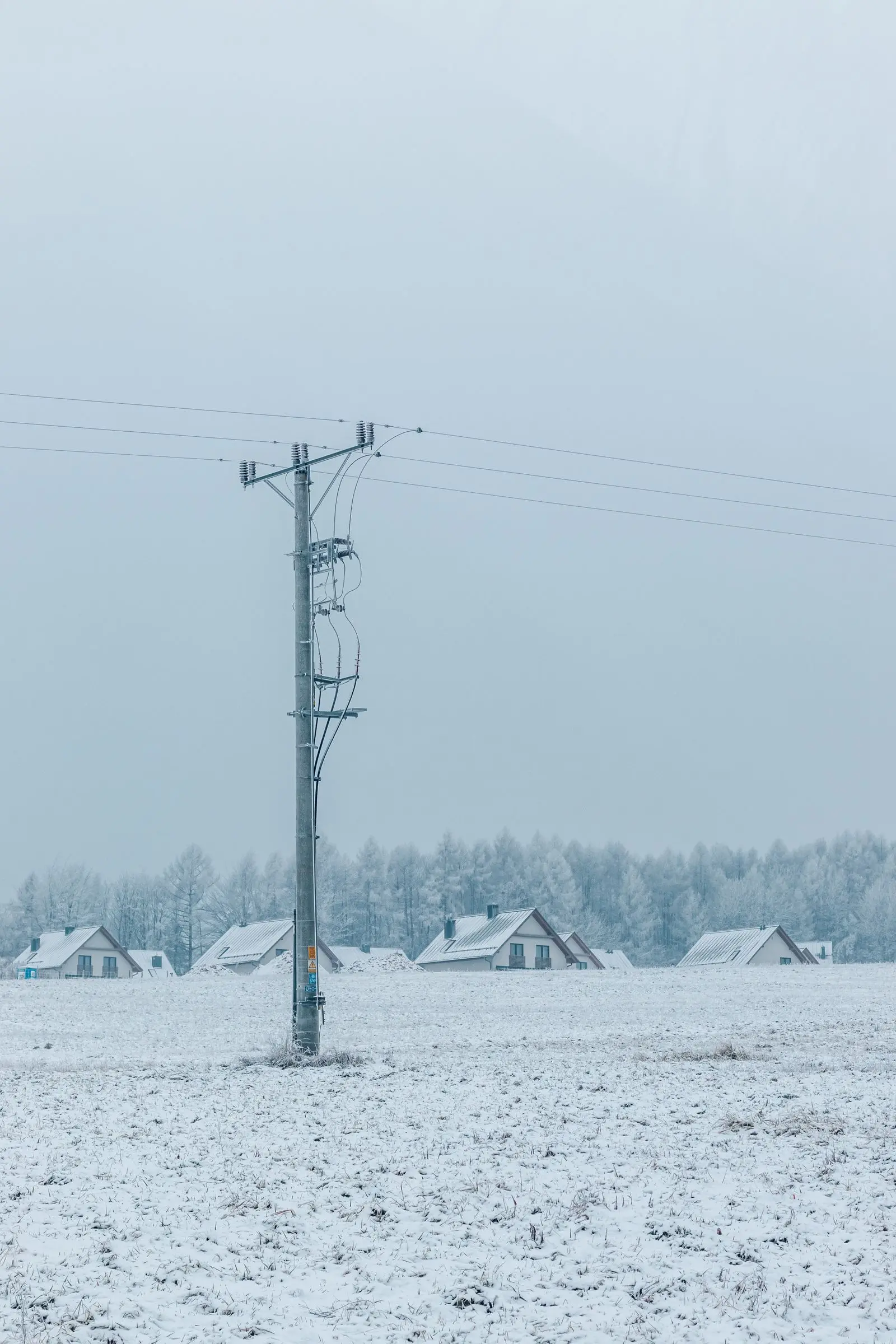 Utility pole above snow-covered houses and trees