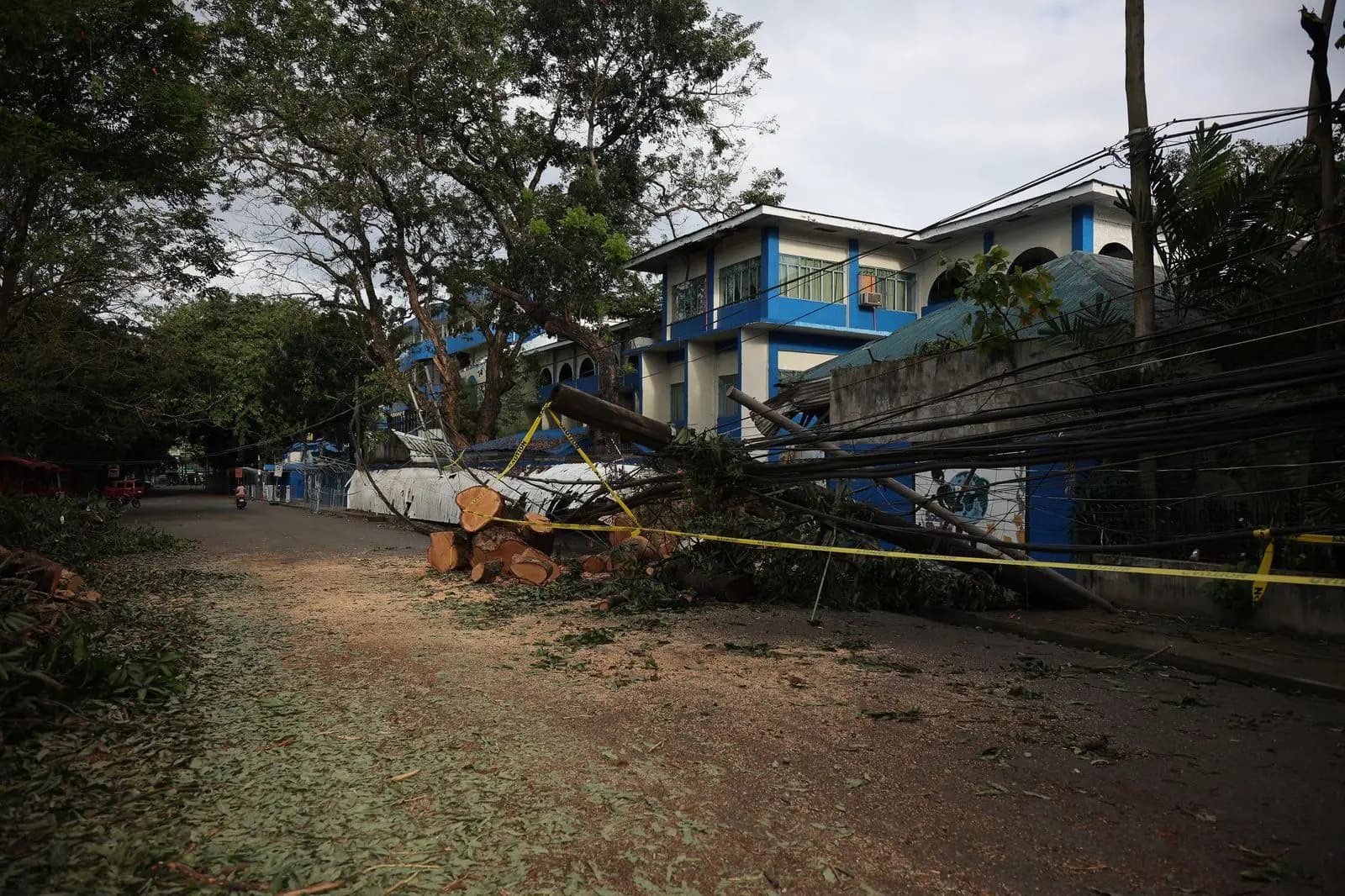 Fallen tree and sagging power lines across a residential street after a storm