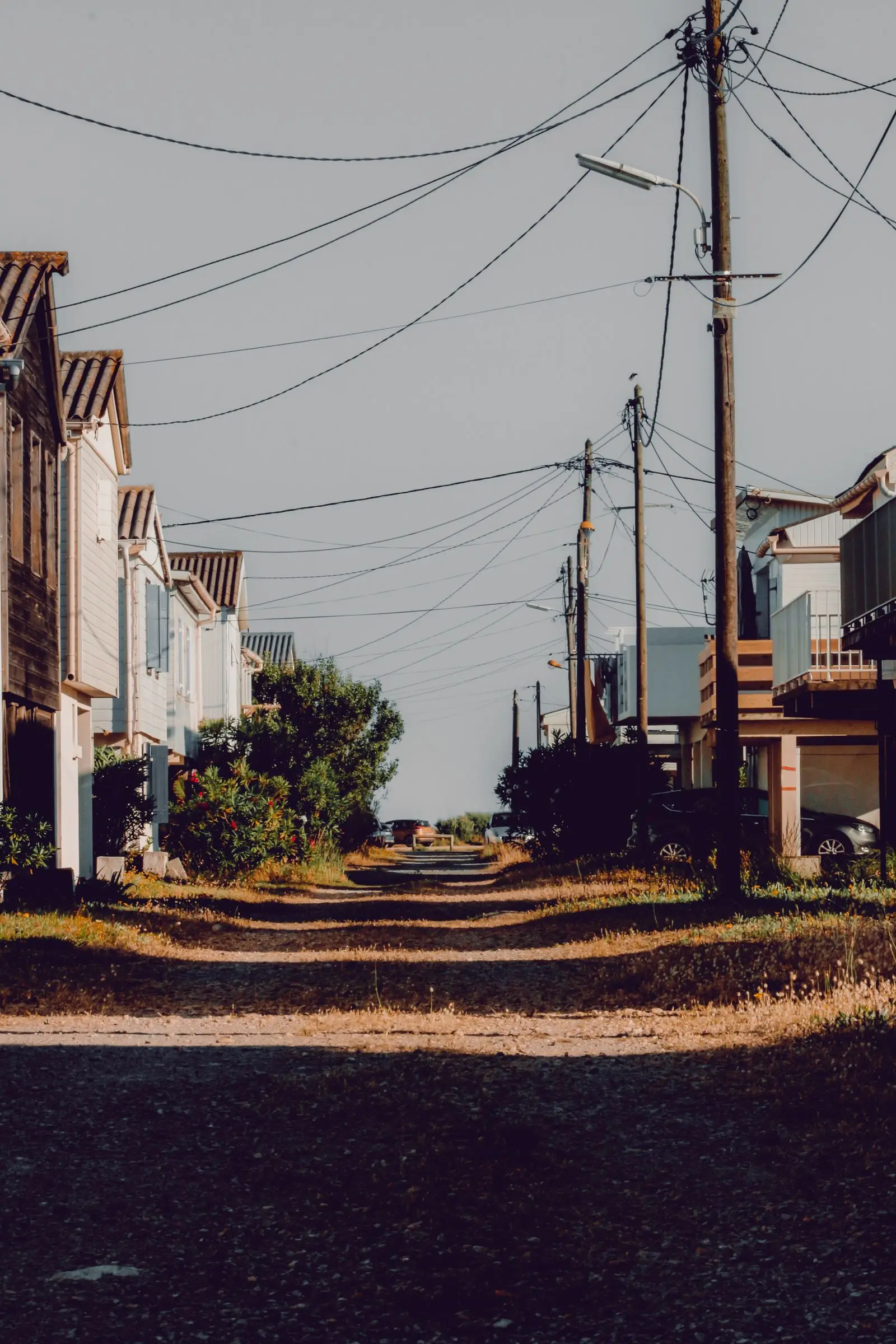 Residential lane lined with utility poles and overhead lines